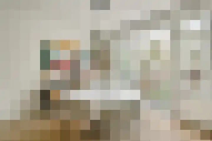 Jan van Riebeekstraat 8 3 Amsterdam thumbnail 7