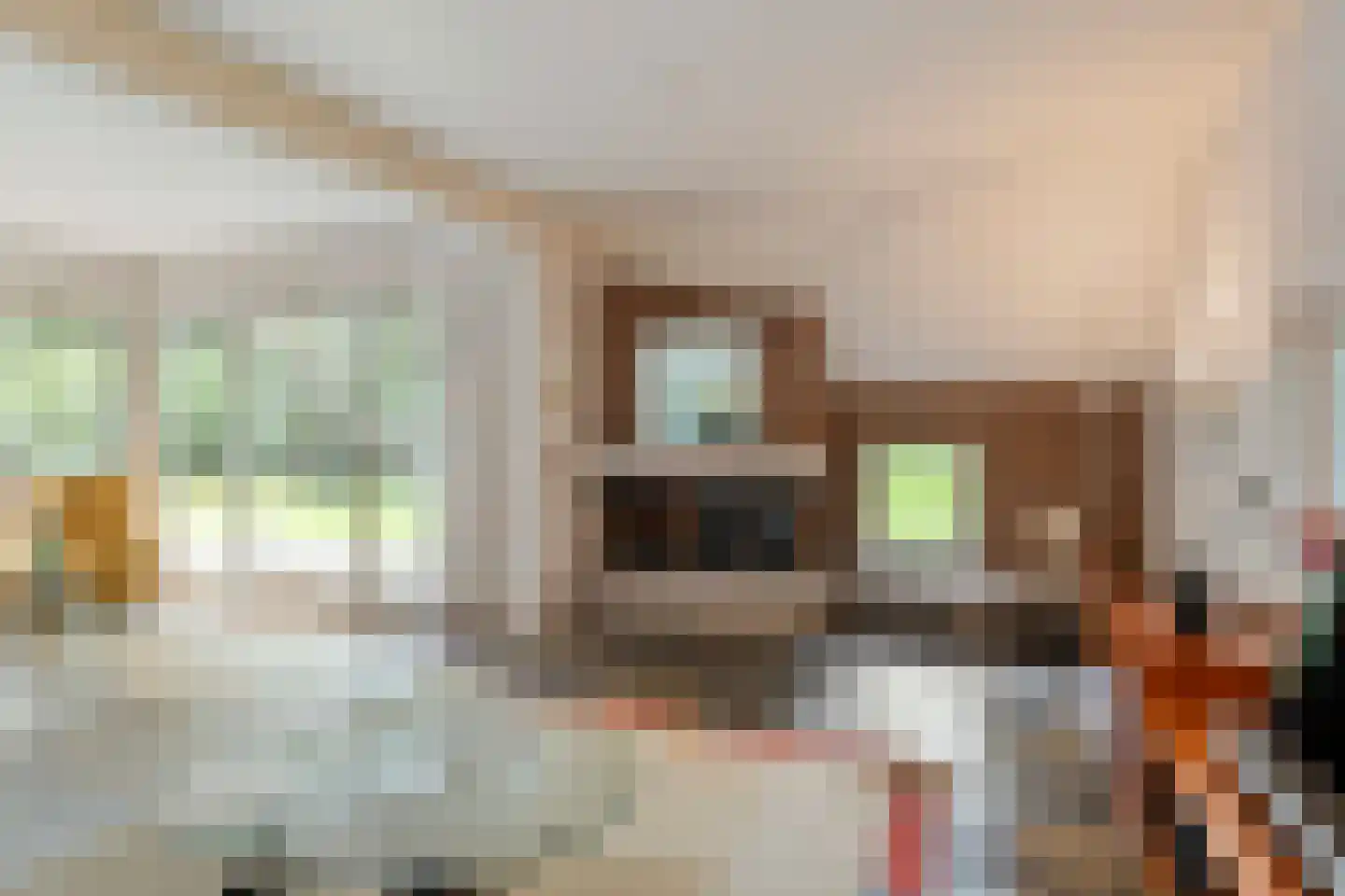 Jan van Riemsdijklaan 1 a Heerde thumbnail 11