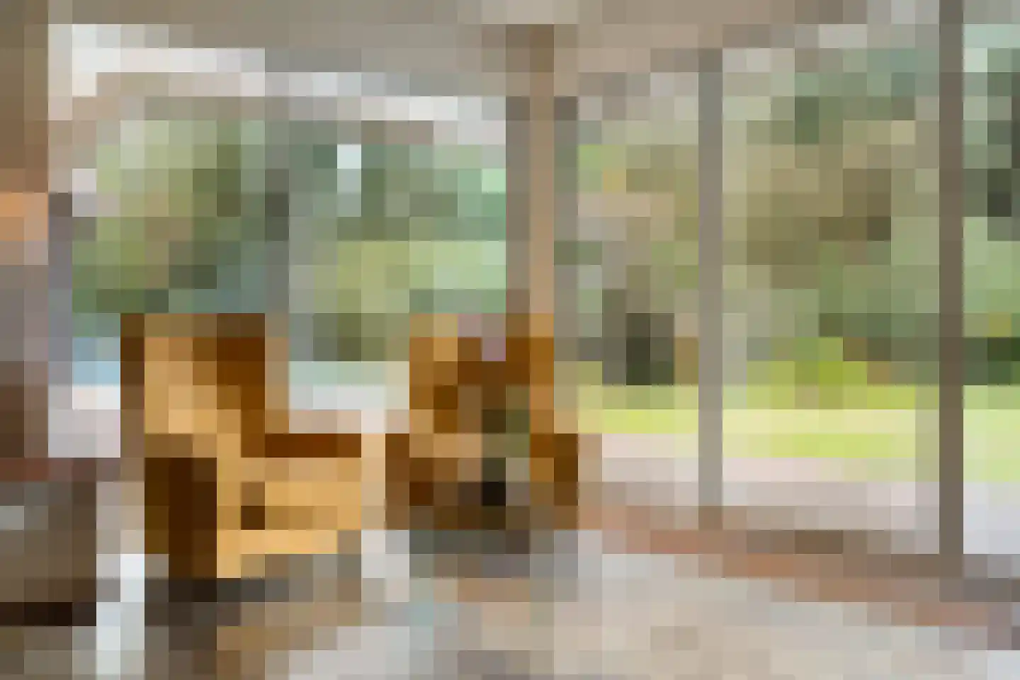 Jan van Riemsdijklaan 1 a Heerde thumbnail 12