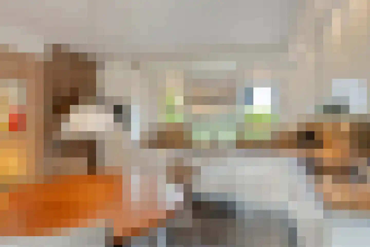 Jan van Riemsdijklaan 1 a Heerde thumbnail 14