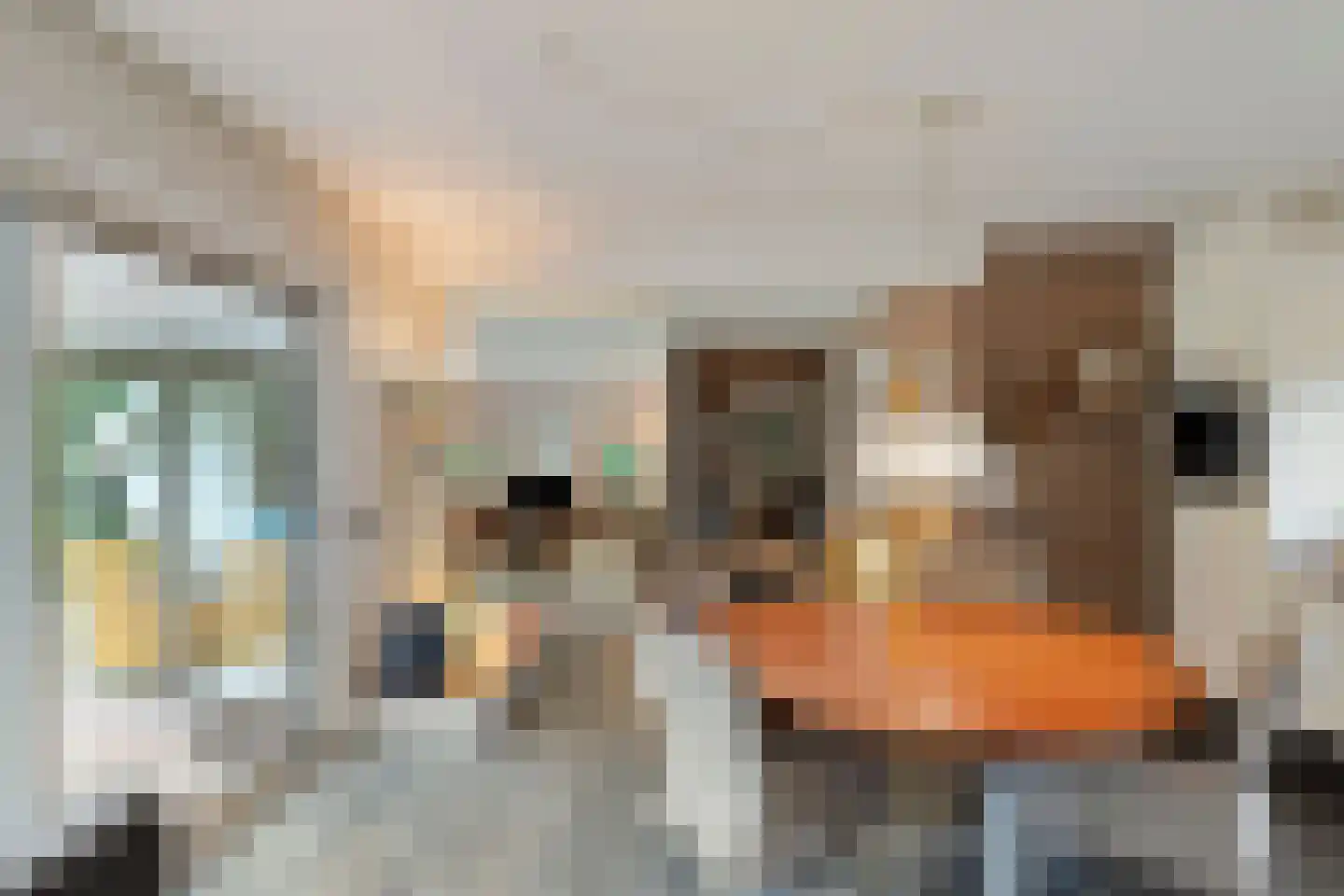 Jan van Riemsdijklaan 1 a Heerde thumbnail 15