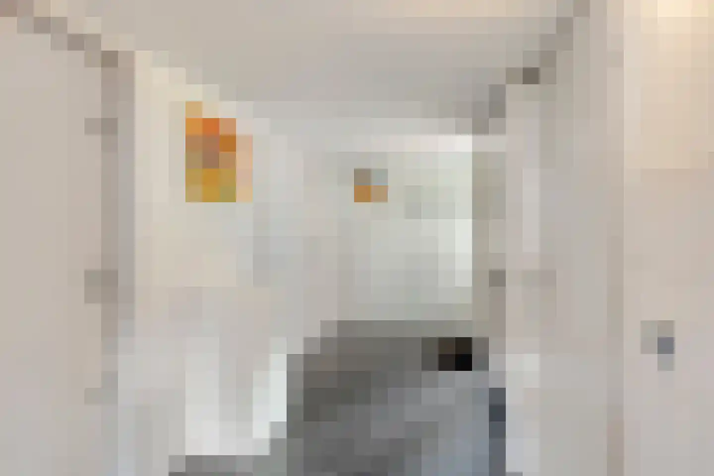 Jan van Riemsdijklaan 1 a Heerde thumbnail 19