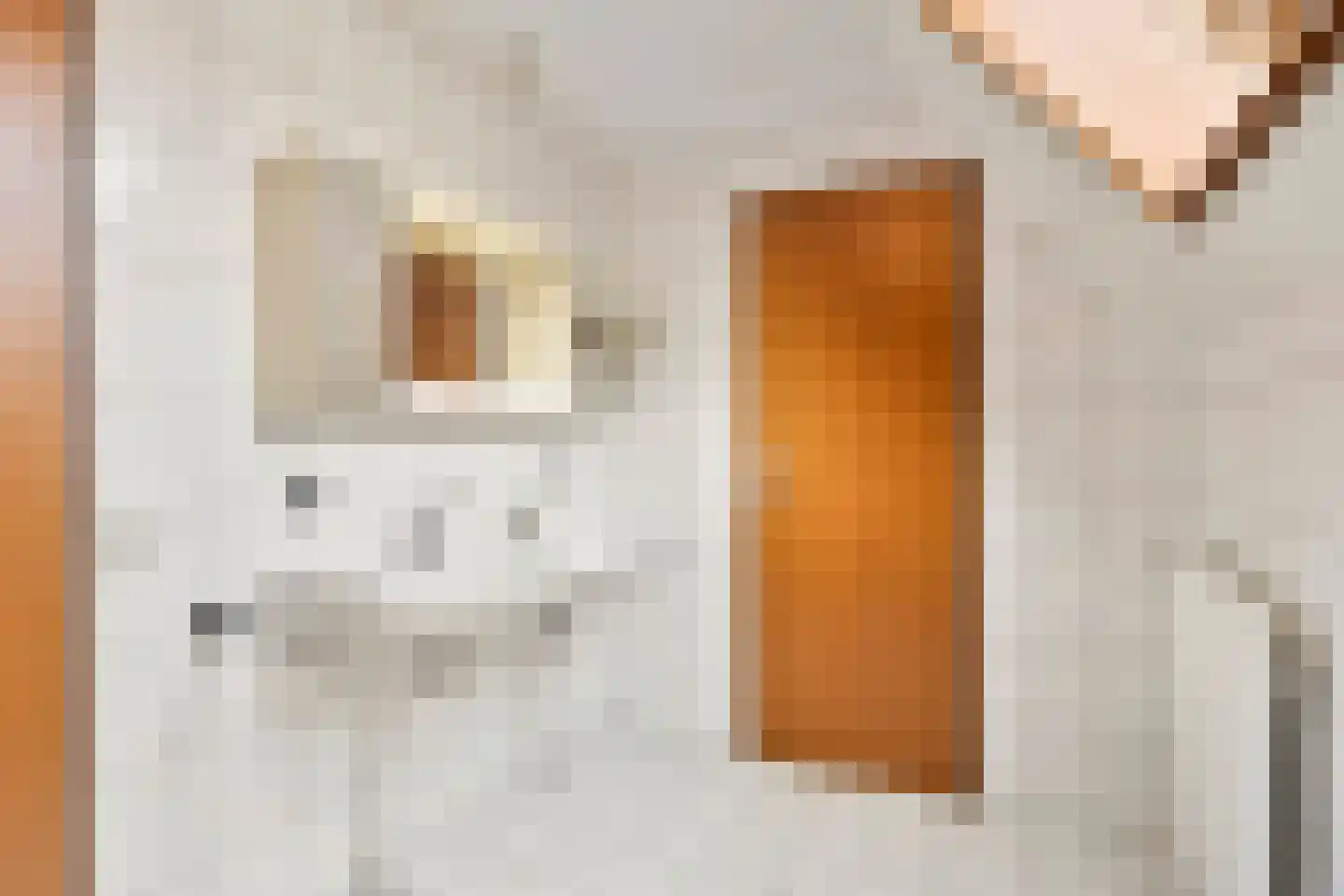 Jan van Riemsdijklaan 1 a Heerde thumbnail 29