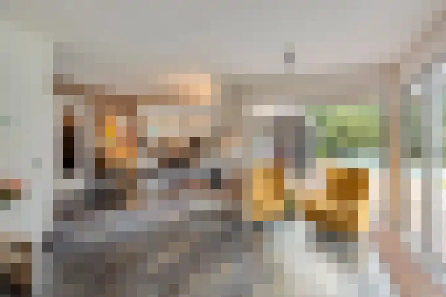 Jan van Riemsdijklaan 1 a Heerde foto 3