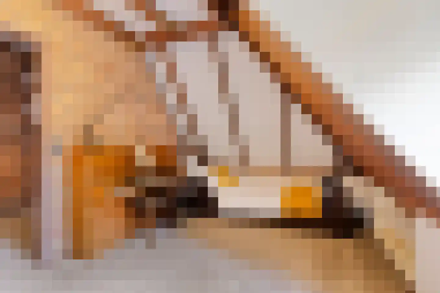 Jan van Riemsdijklaan 1 a Heerde thumbnail 32