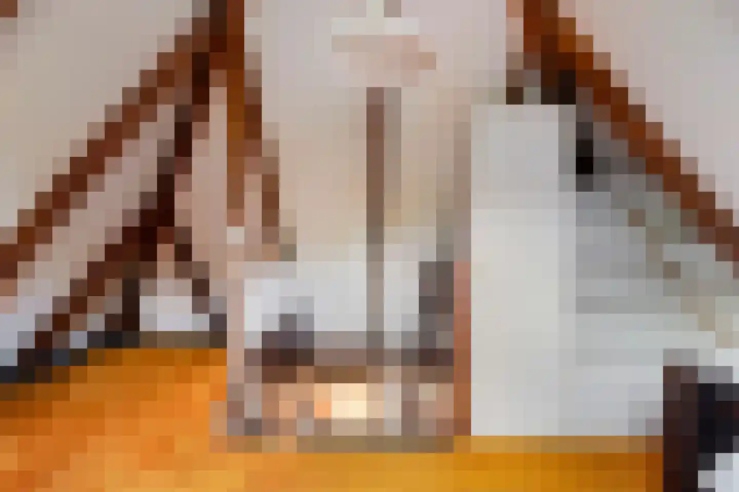Jan van Riemsdijklaan 1 a Heerde thumbnail 36