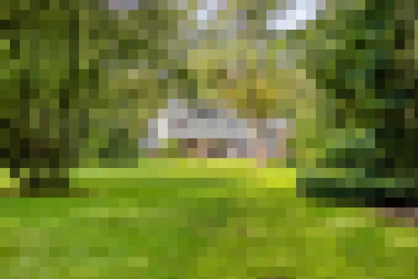 Jan van Riemsdijklaan 1 a Heerde thumbnail 45