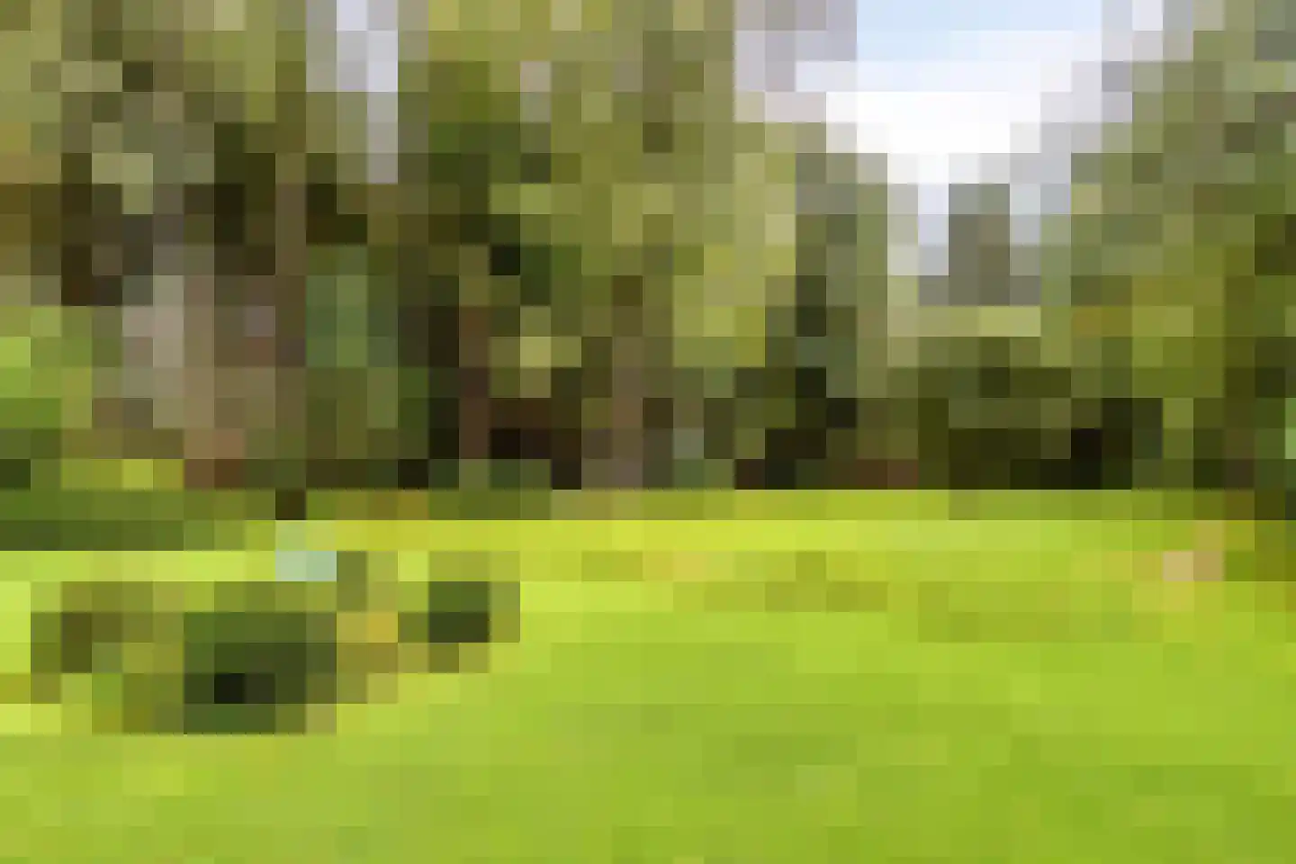 Jan van Riemsdijklaan 1 a Heerde thumbnail 46