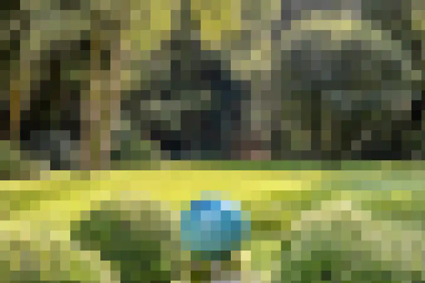 Jan van Riemsdijklaan 1 a Heerde thumbnail 47