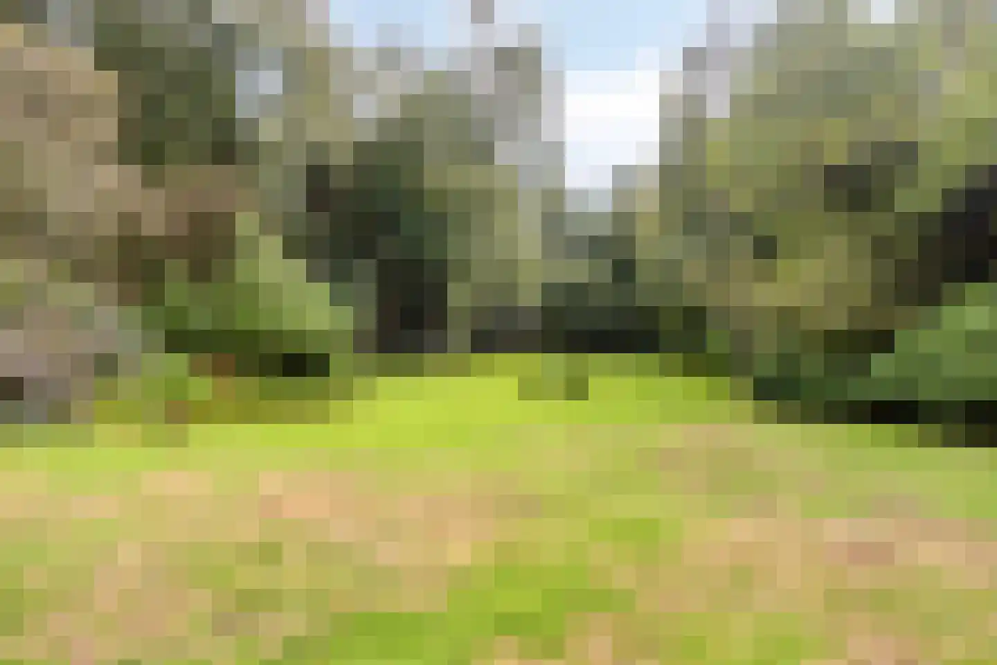 Jan van Riemsdijklaan 1 a Heerde thumbnail 48
