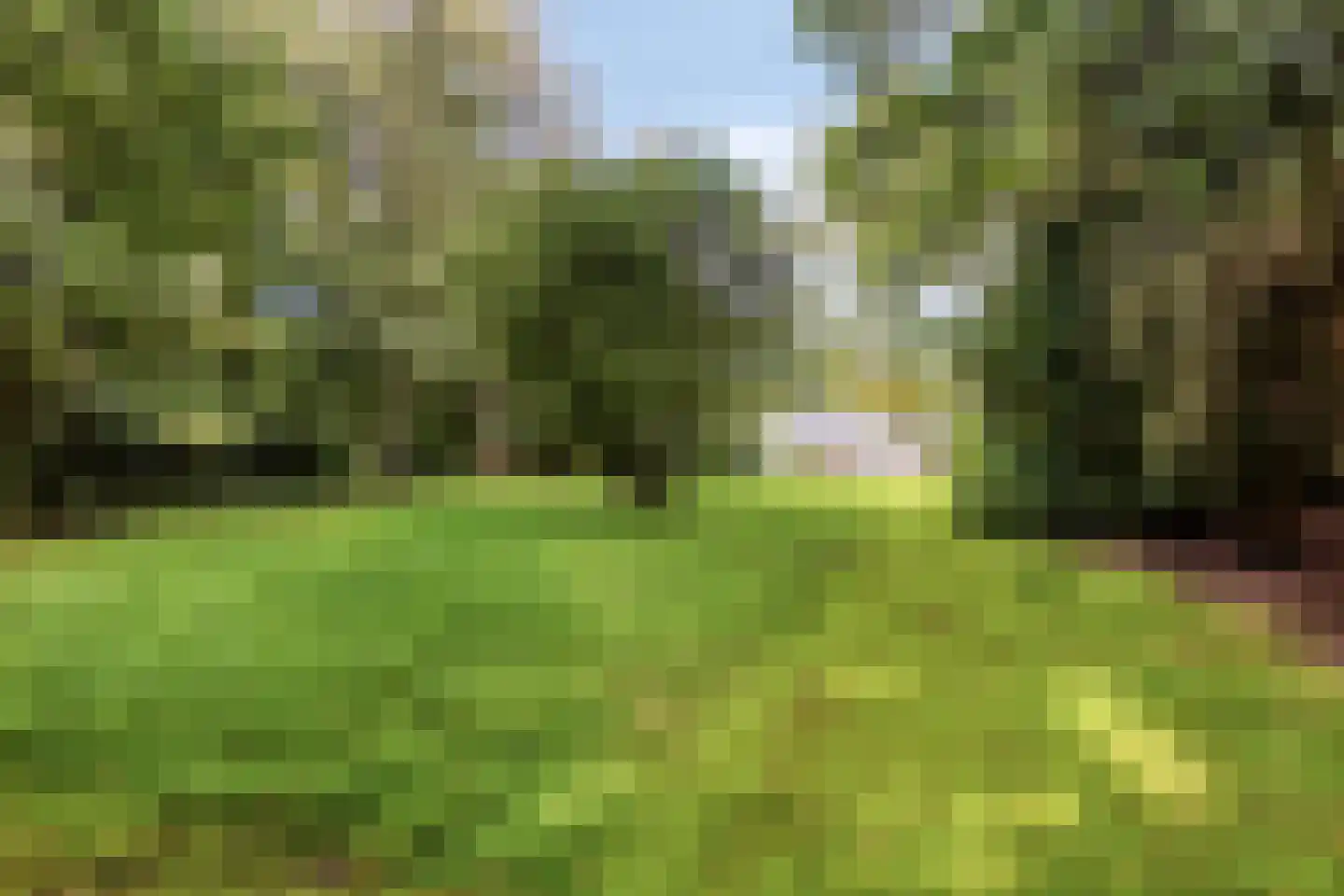 Jan van Riemsdijklaan 1 a Heerde thumbnail 49