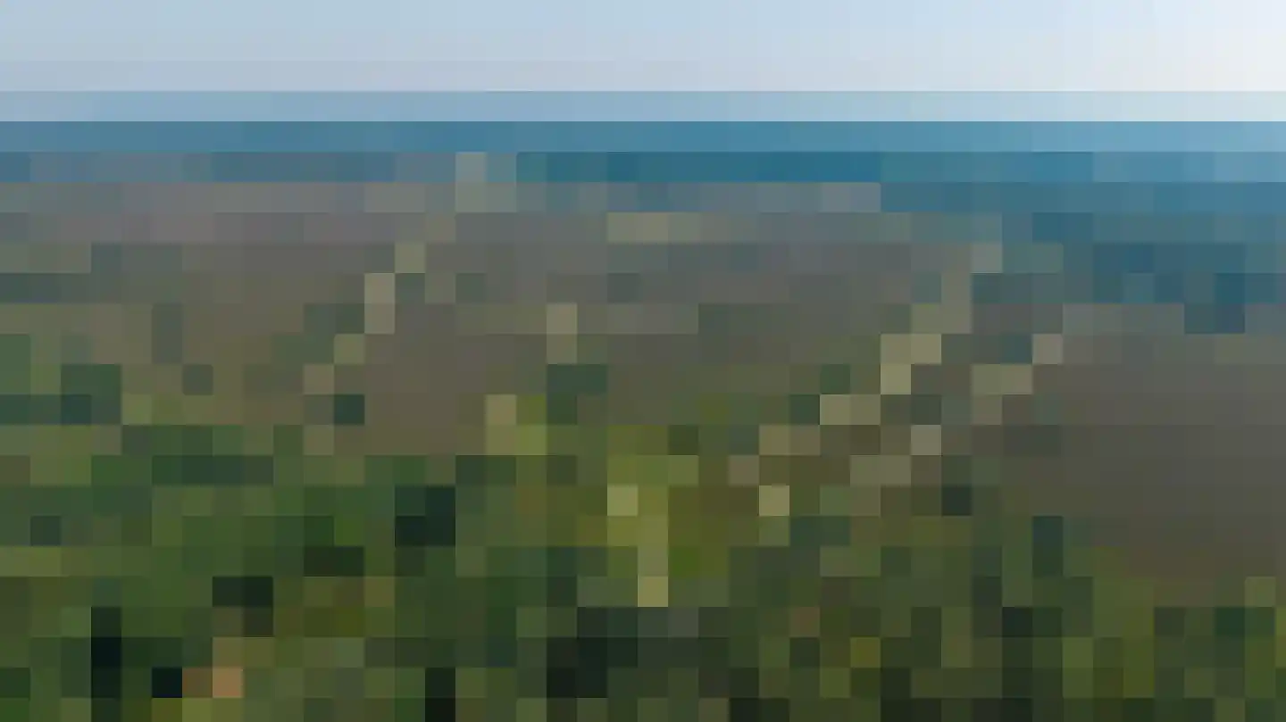 Jan van Riemsdijklaan 1 a Heerde thumbnail 5