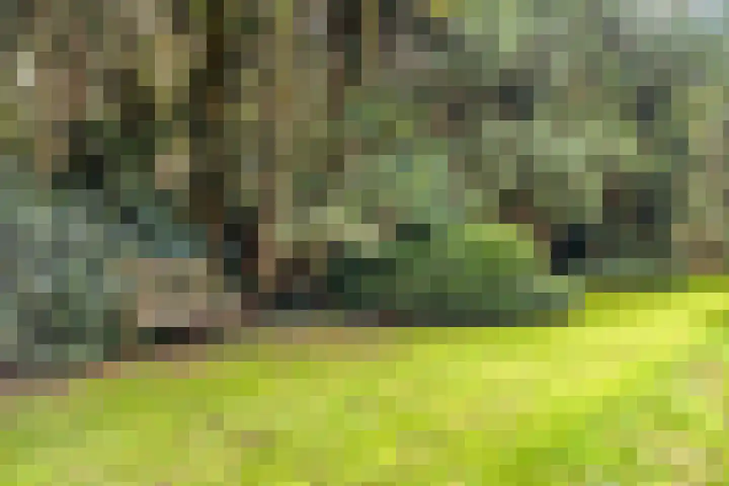 Jan van Riemsdijklaan 1 a Heerde thumbnail 50