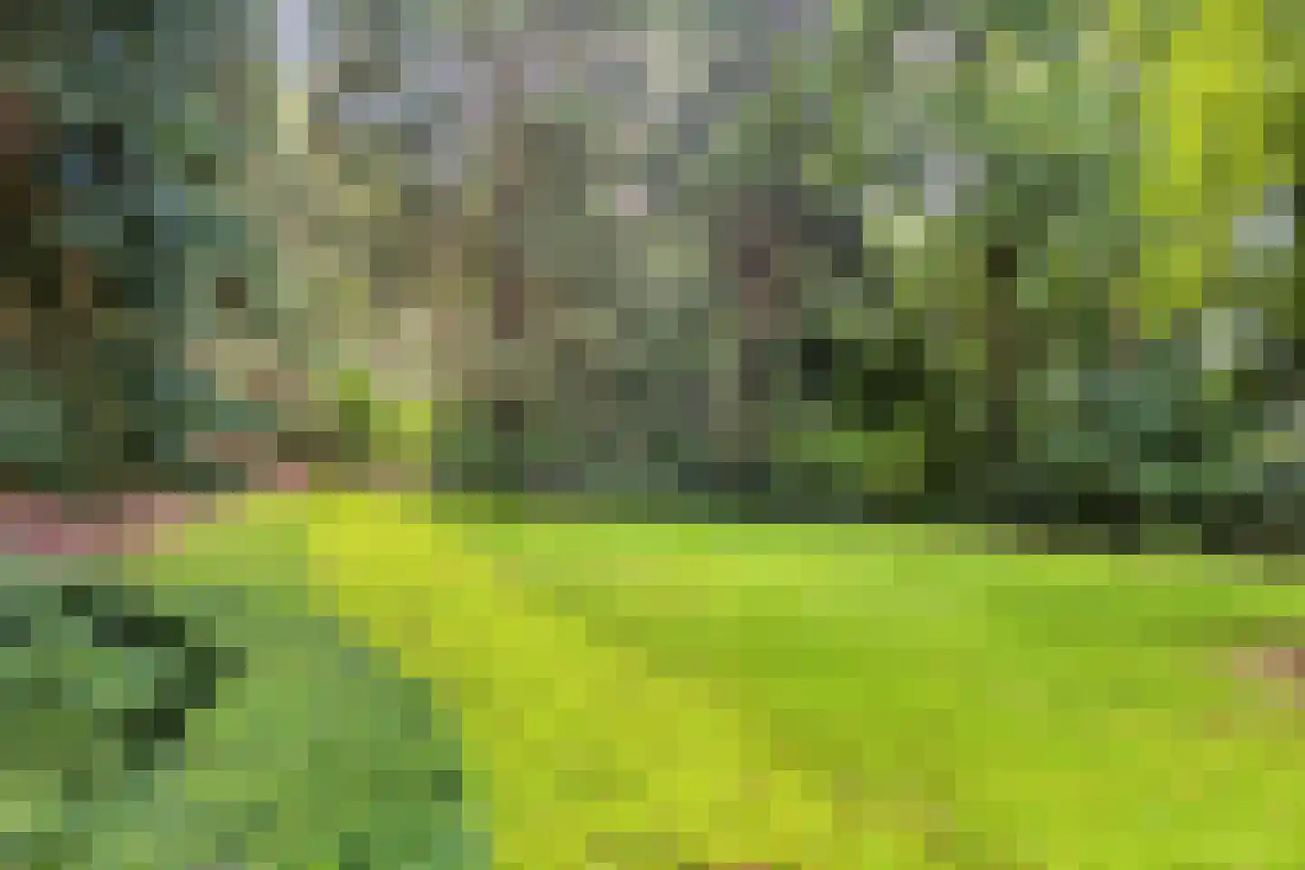 Jan van Riemsdijklaan 1 a Heerde thumbnail 51