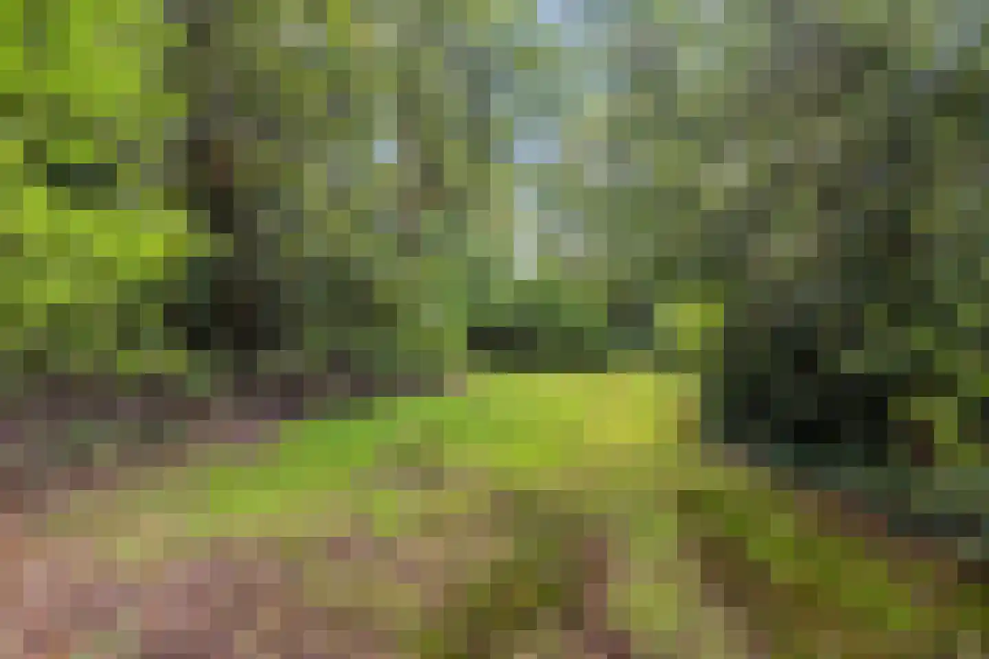 Jan van Riemsdijklaan 1 a Heerde thumbnail 52
