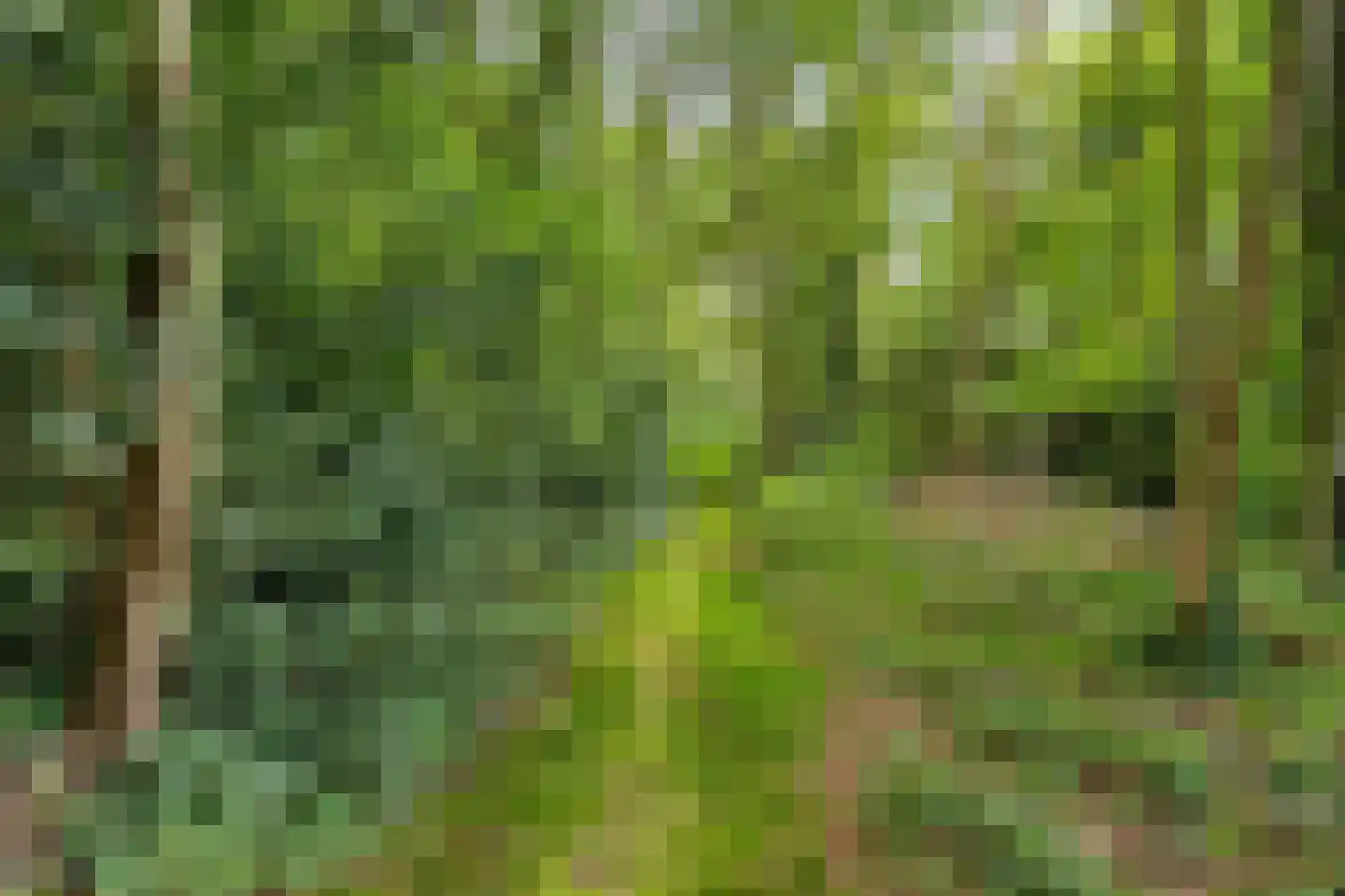 Jan van Riemsdijklaan 1 a Heerde thumbnail 53