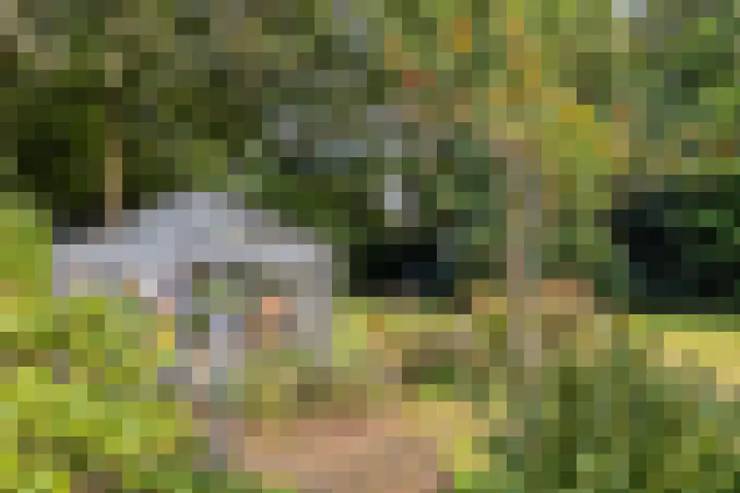 Jan van Riemsdijklaan 1 a Heerde thumbnail 54