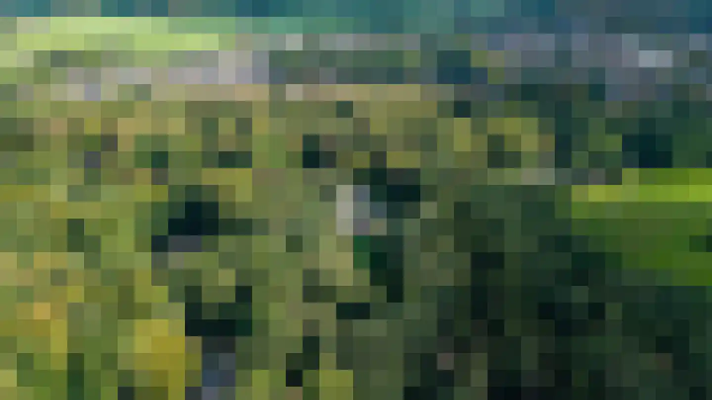 Jan van Riemsdijklaan 1 a Heerde thumbnail 56