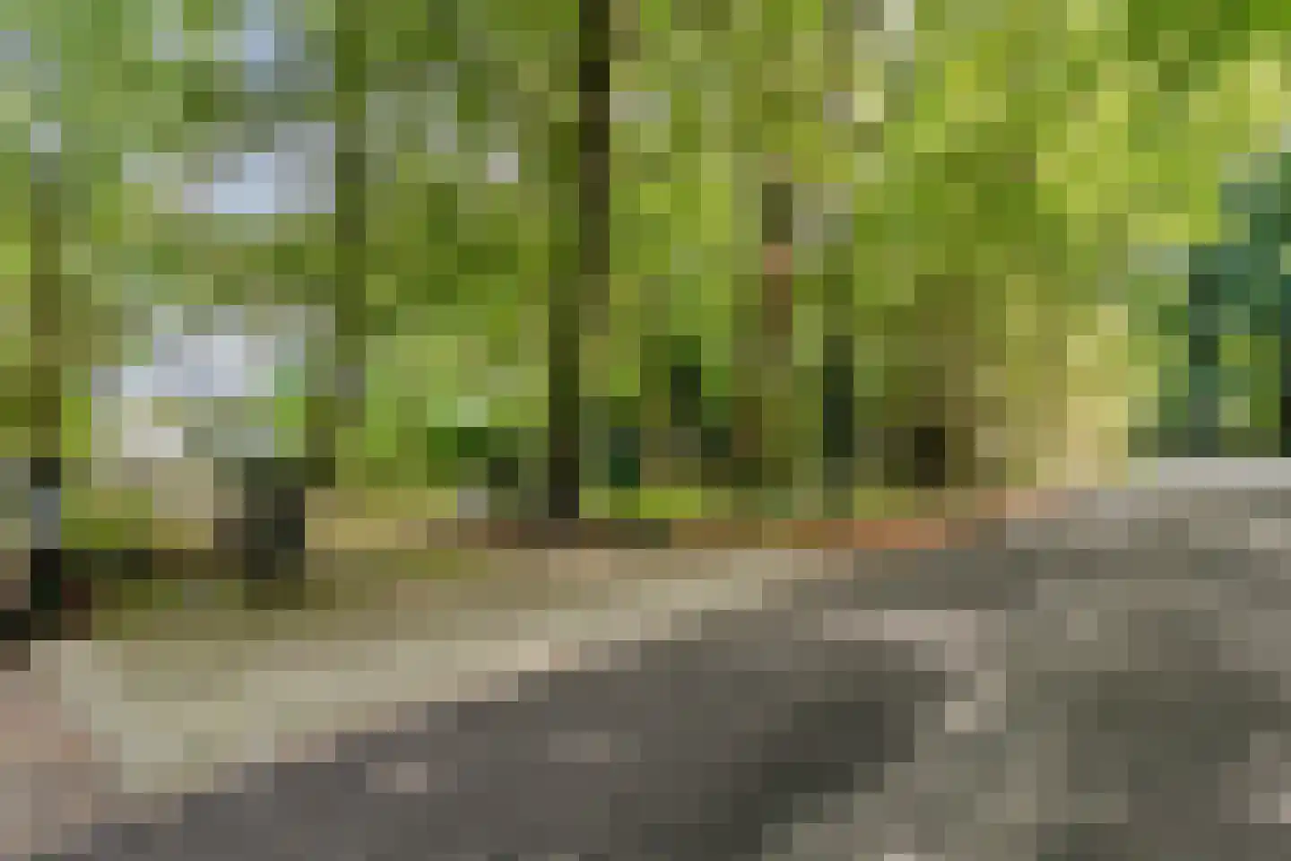 Jan van Riemsdijklaan 1 a Heerde thumbnail 57