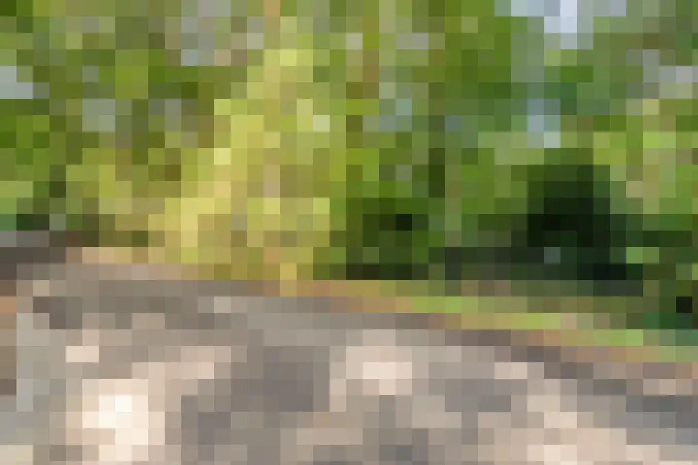 Jan van Riemsdijklaan 1 a Heerde thumbnail 58