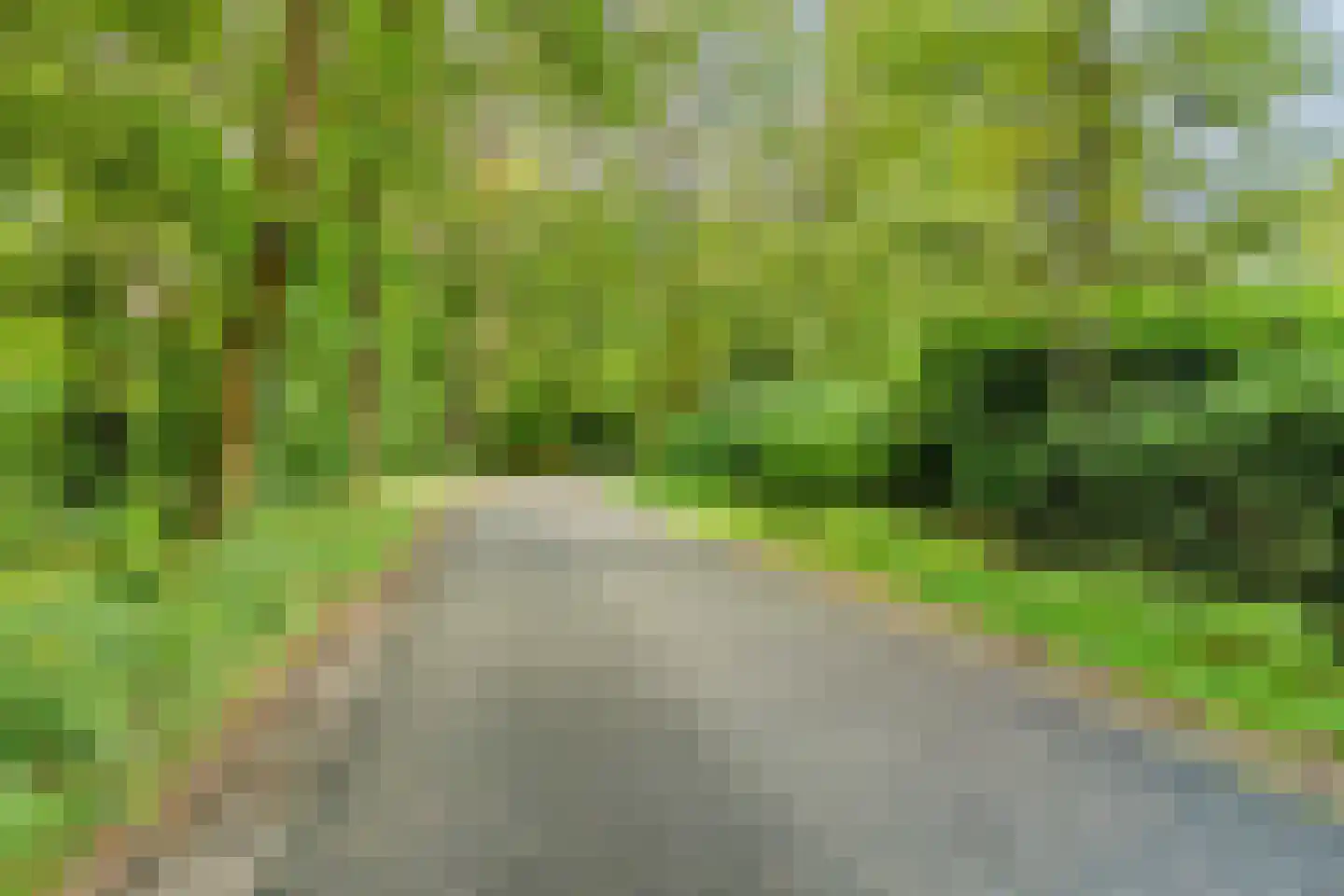 Jan van Riemsdijklaan 1 a Heerde thumbnail 59