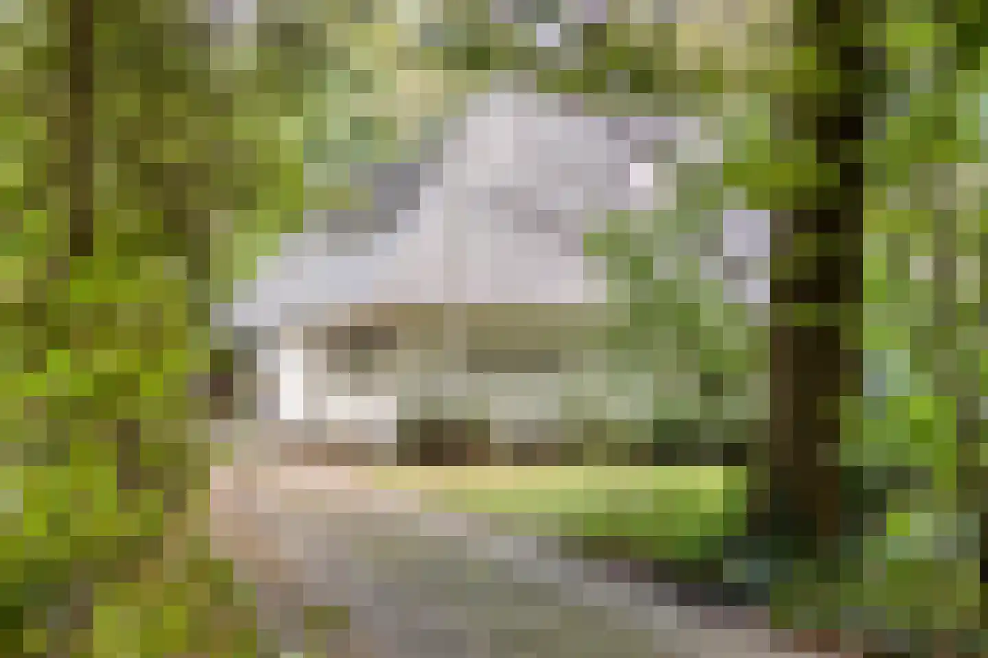 Jan van Riemsdijklaan 1 a Heerde thumbnail 6