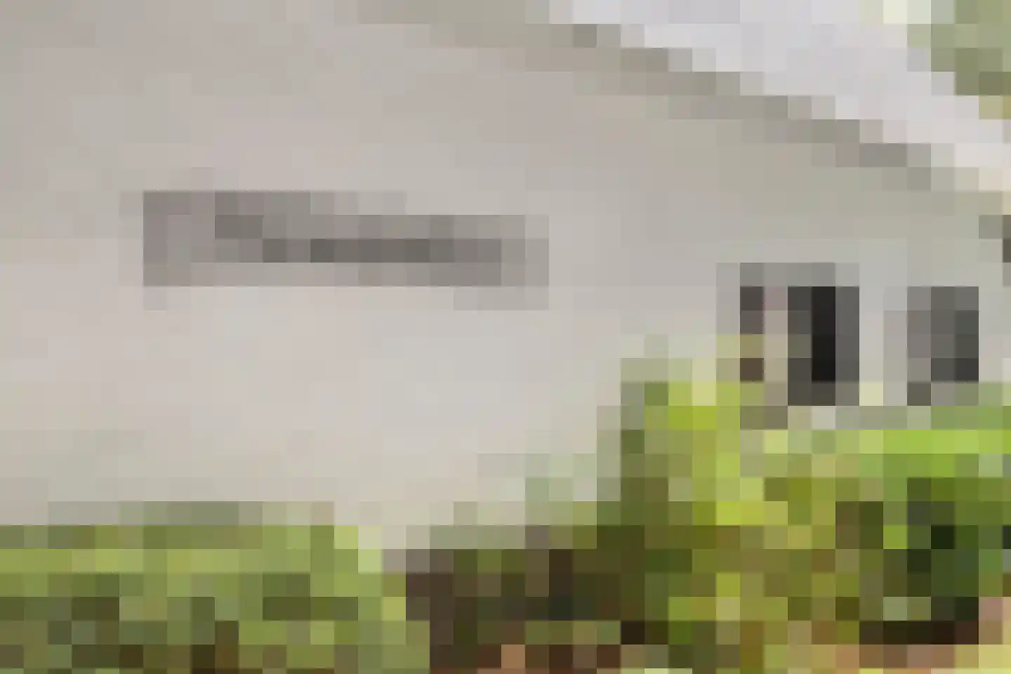 Jan van Riemsdijklaan 1 a Heerde thumbnail 7