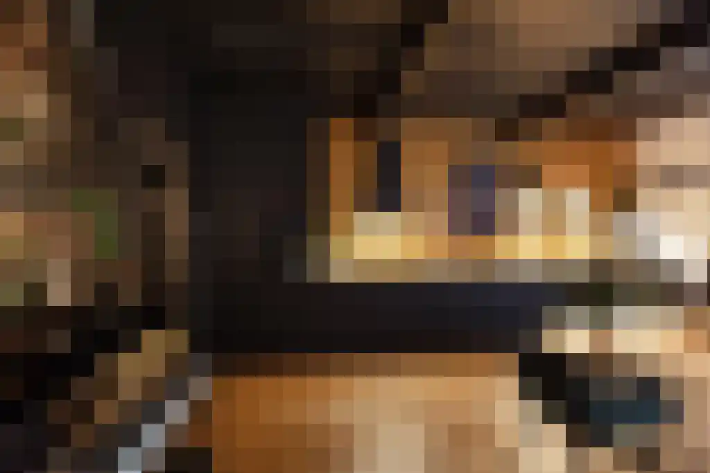 Jan van Riemsdijklaan 1 Heerde thumbnail 20