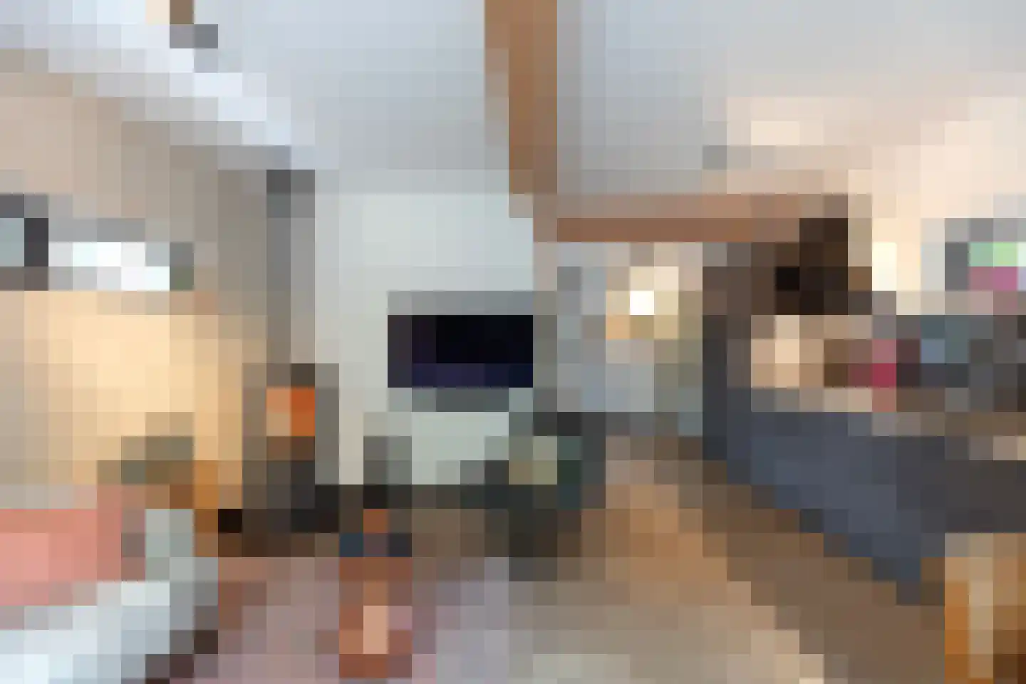 Jan van Riemsdijklaan 1 Heerde thumbnail 21