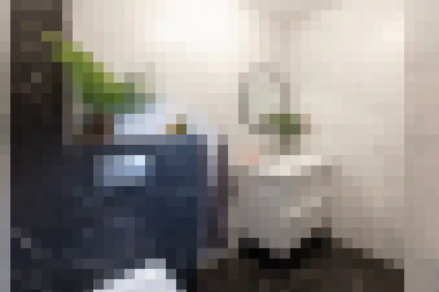 Jan van Riemsdijklaan 1 Heerde thumbnail 22