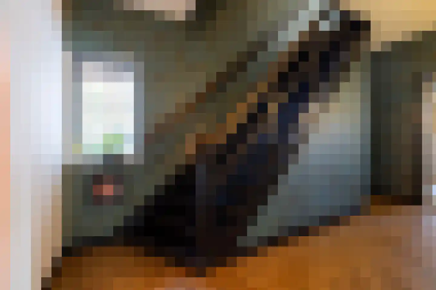 Jan van Riemsdijklaan 1 Heerde thumbnail 23
