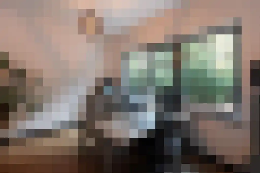 Jan van Riemsdijklaan 1 Heerde thumbnail 27