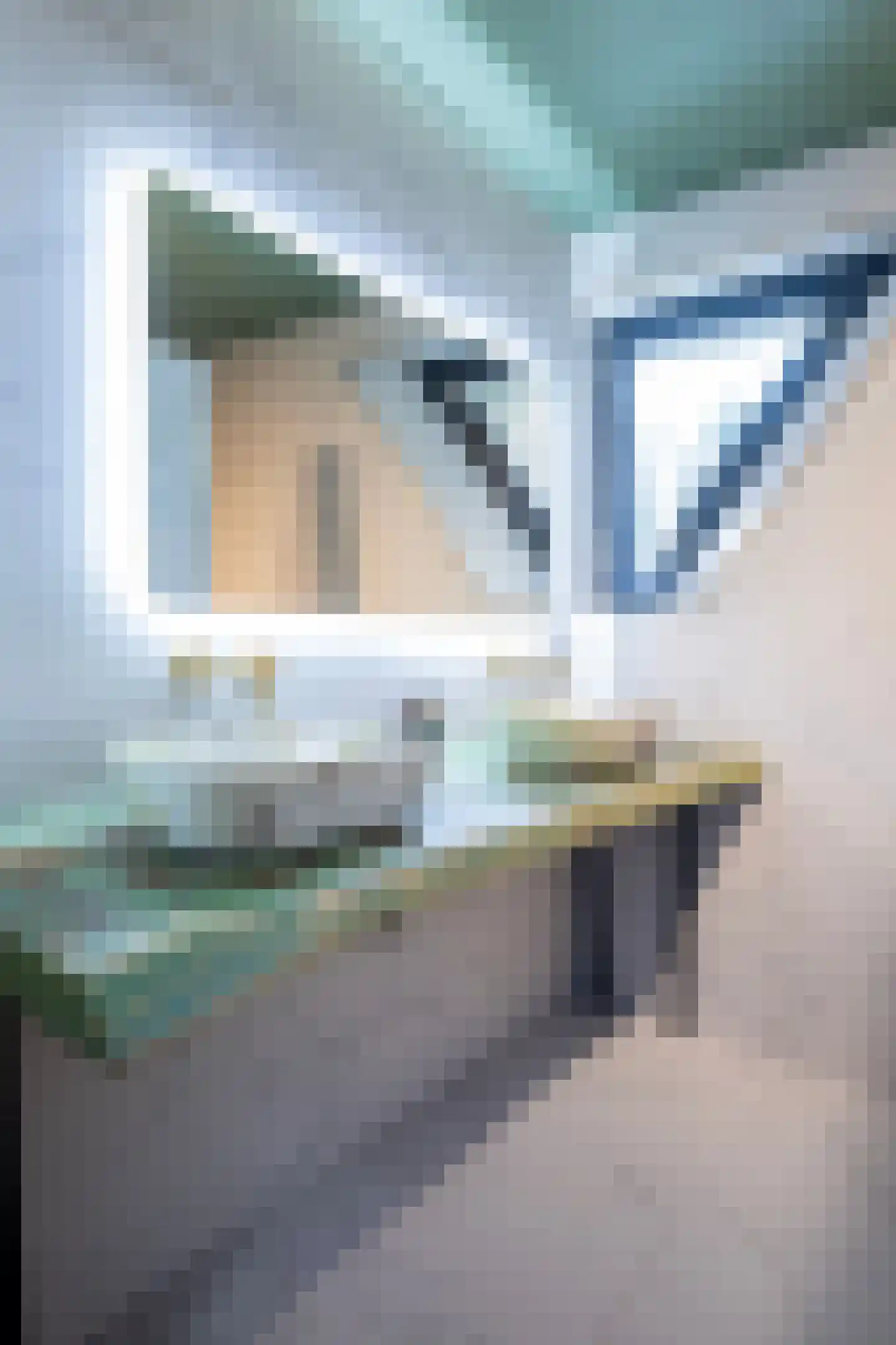 Jan van Riemsdijklaan 1 Heerde thumbnail 28