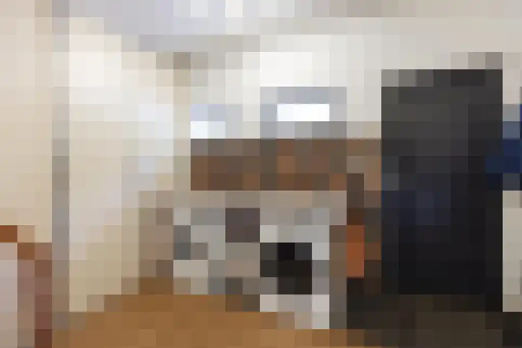 Jan van Riemsdijklaan 1 Heerde thumbnail 28
