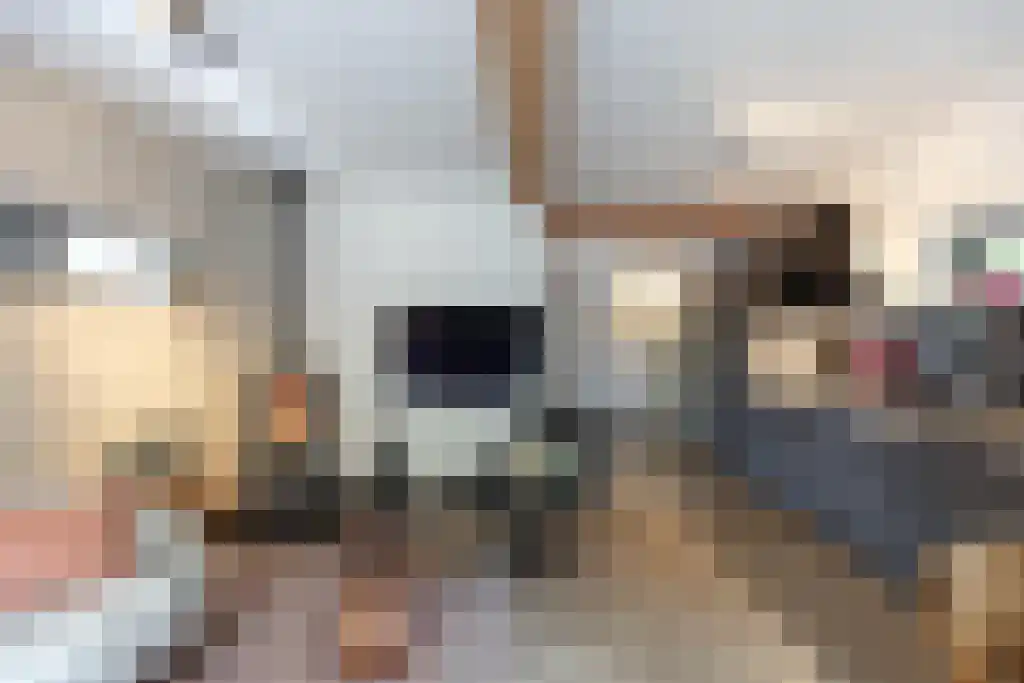Jan van Riemsdijklaan 1 Heerde thumbnail 30