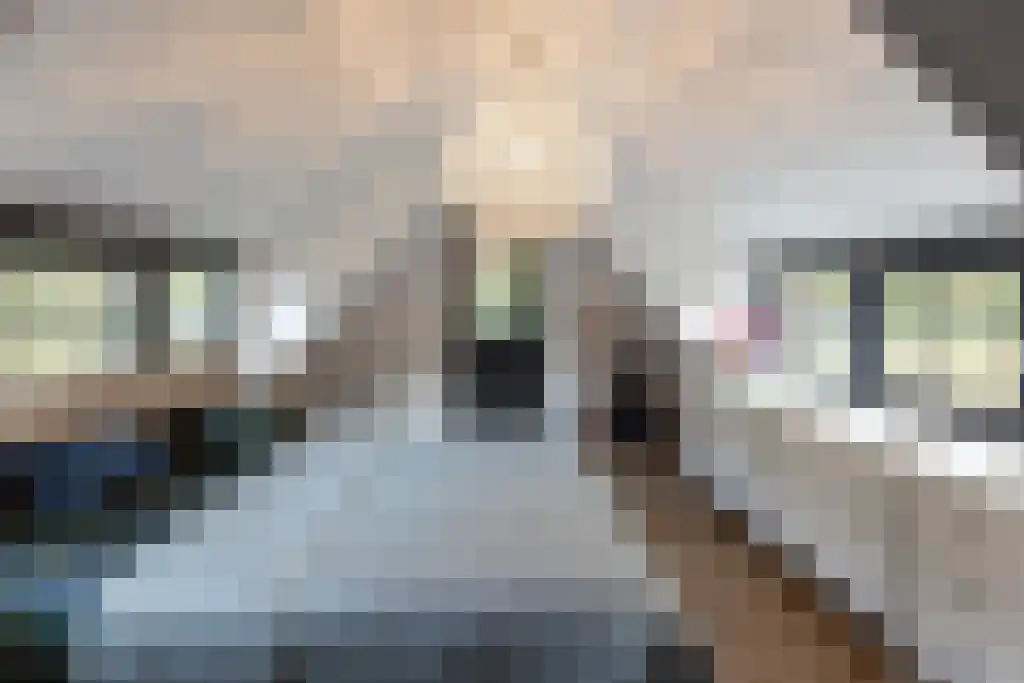 Jan van Riemsdijklaan 1 Heerde thumbnail 32