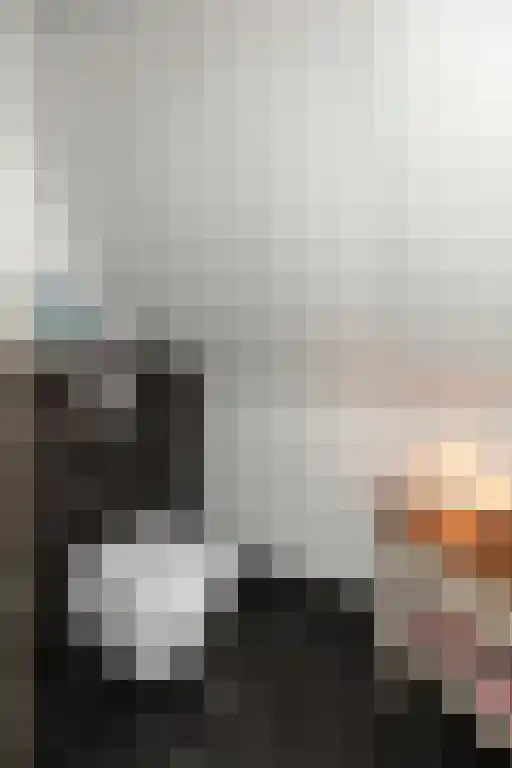 Jan van Riemsdijklaan 1 Heerde thumbnail 33
