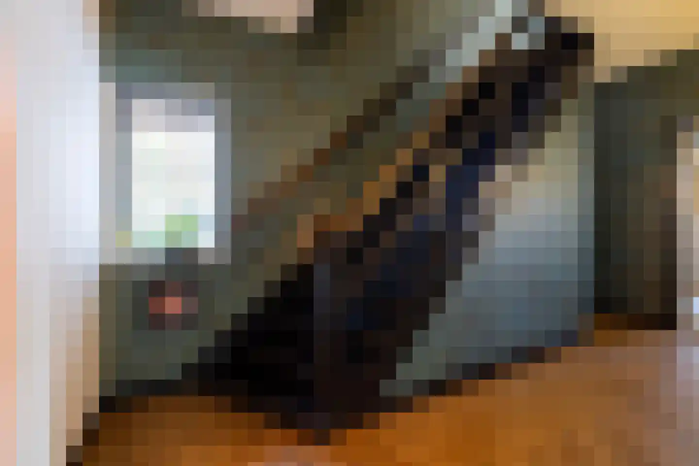 Jan van Riemsdijklaan 1 Heerde thumbnail 34