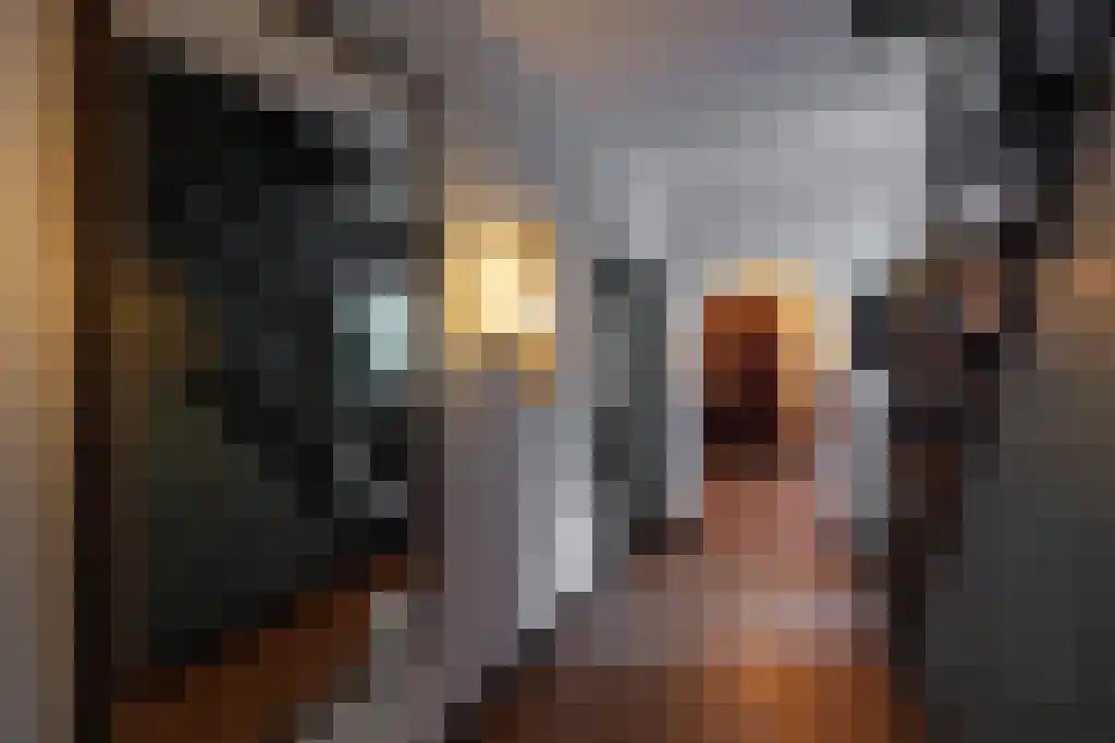 Jan van Riemsdijklaan 1 Heerde thumbnail 35