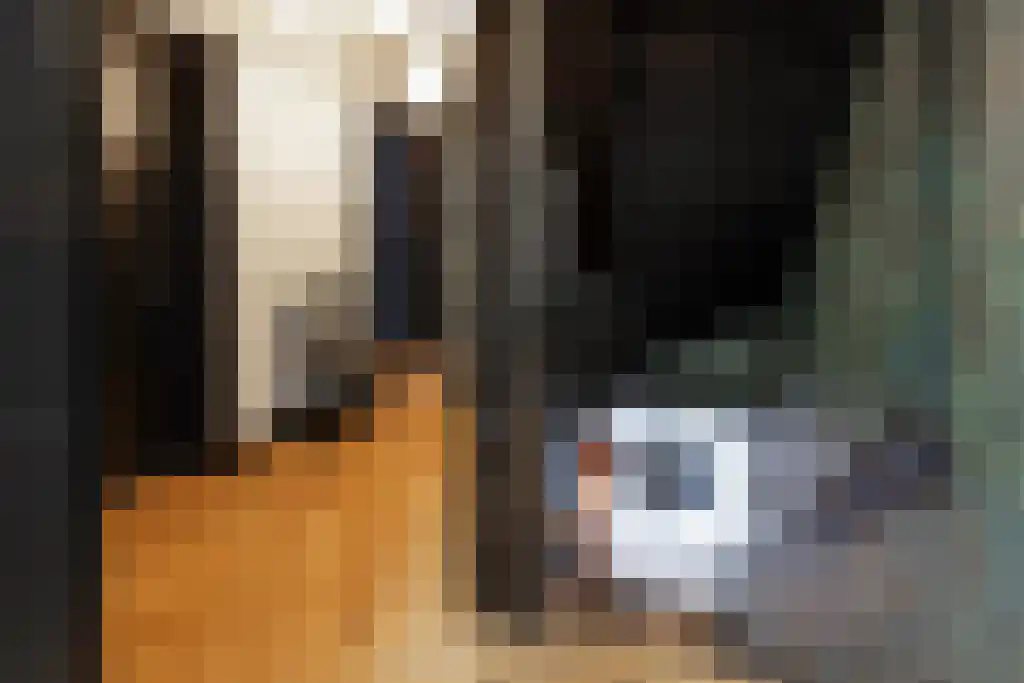 Jan van Riemsdijklaan 1 Heerde thumbnail 36