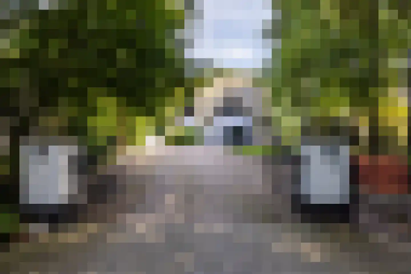 Jan van Riemsdijklaan 1 Heerde thumbnail 4