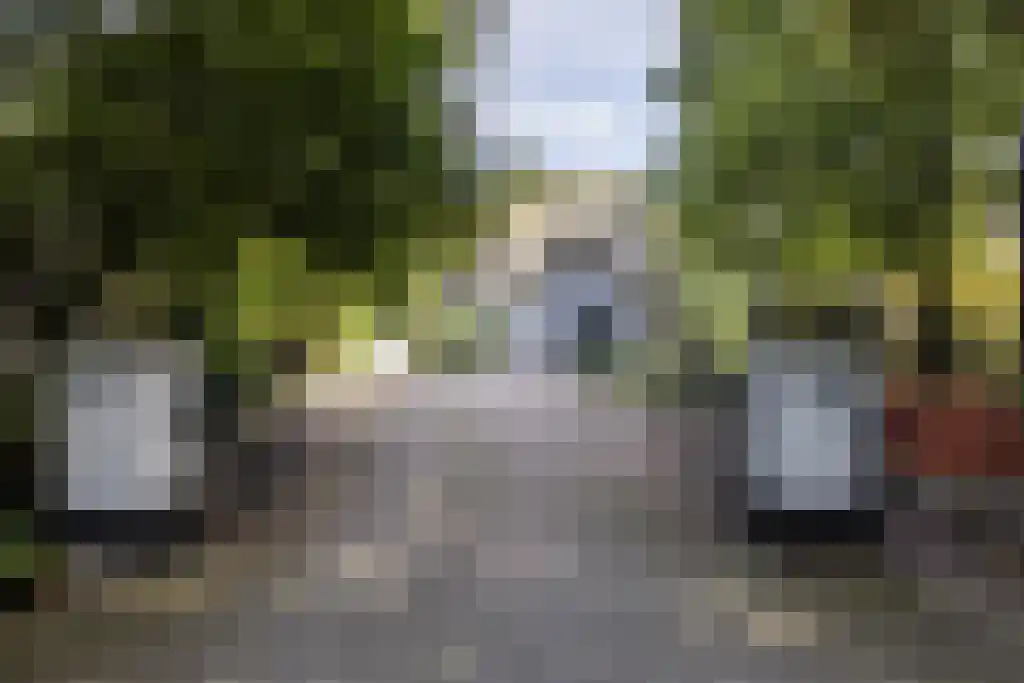 Jan van Riemsdijklaan 1 Heerde thumbnail 4
