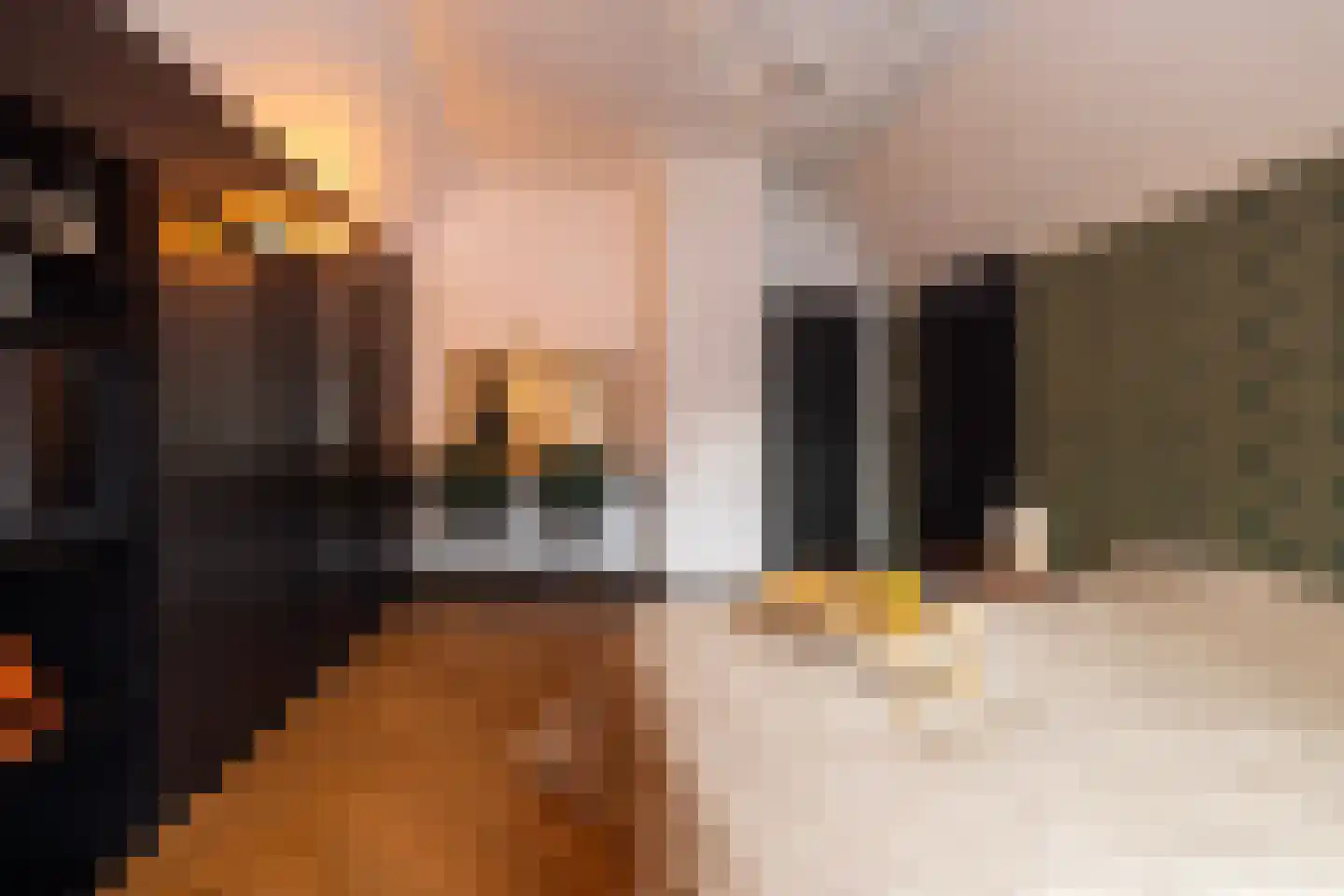 Jan van Riemsdijklaan 1 Heerde thumbnail 40