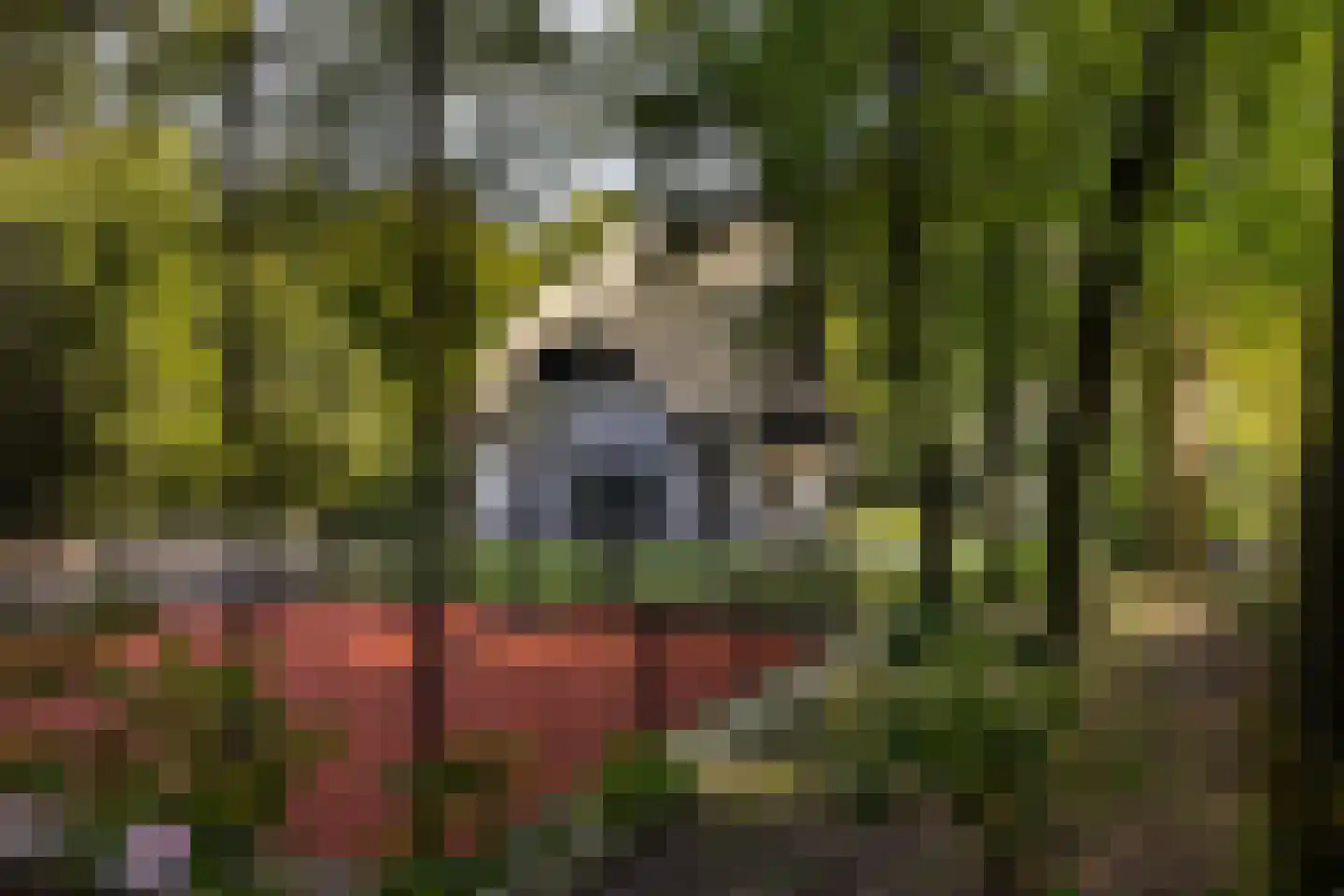 Jan van Riemsdijklaan 1 Heerde thumbnail 49