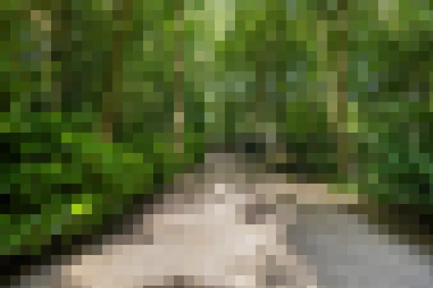 Jan van Riemsdijklaan 1 Heerde thumbnail 51