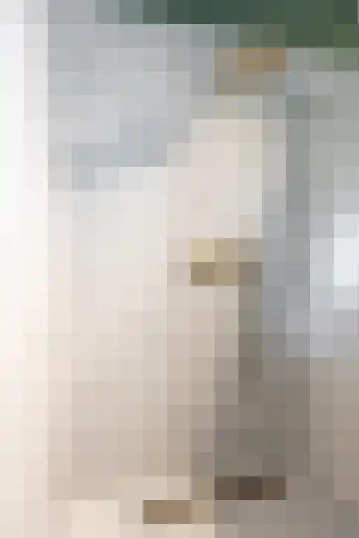 Jan van Riemsdijklaan 1 Heerde thumbnail 51