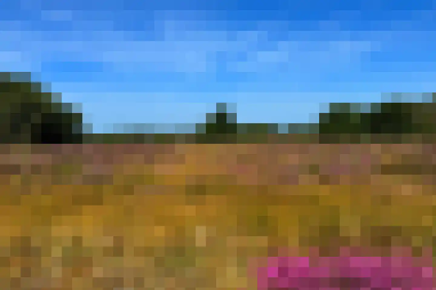 Jan van Riemsdijklaan 1 Heerde thumbnail 52