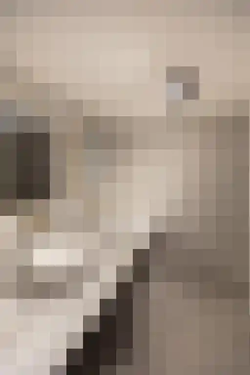 Jan van Riemsdijklaan 1 Heerde thumbnail 57