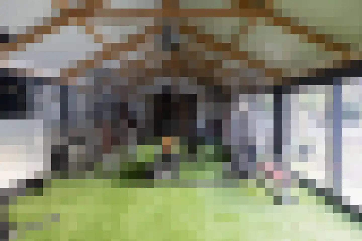 Jan van Riemsdijklaan 1 Heerde thumbnail 65