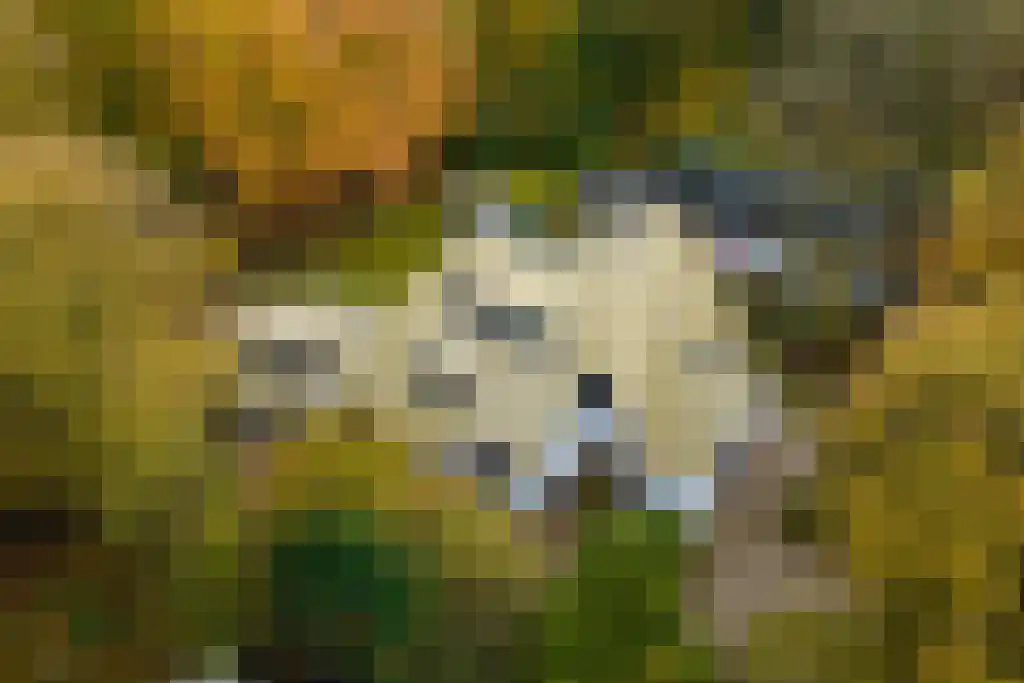 Jan van Riemsdijklaan 1 Heerde thumbnail 82